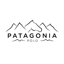 Patagonia Polo